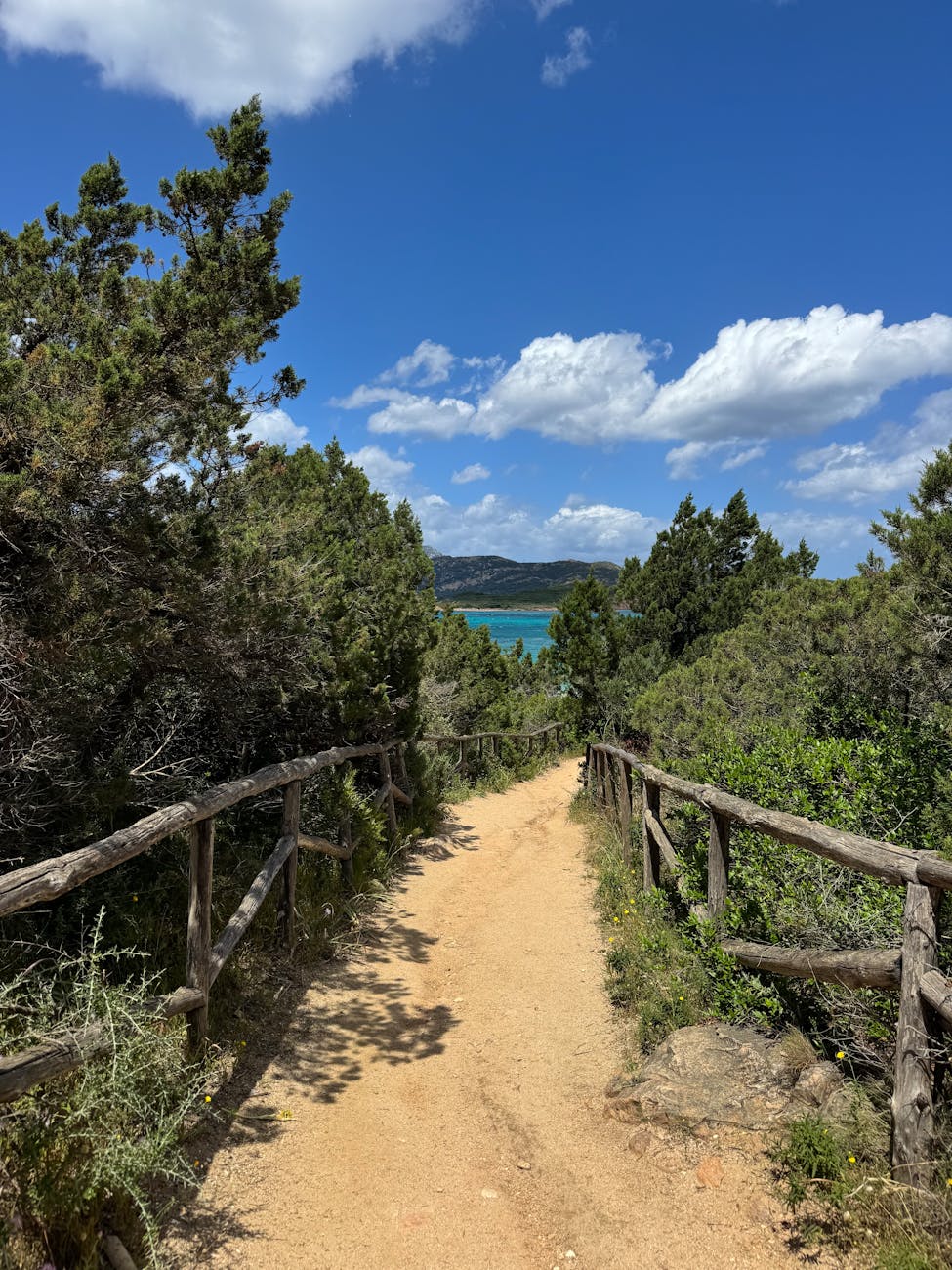Alistair Vance Hiking